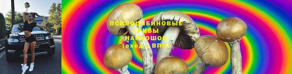 шишки Саяногорск