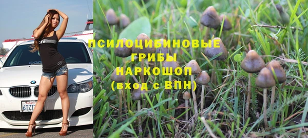 шишки Саяногорск