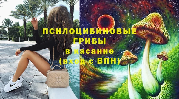 шишки Саяногорск