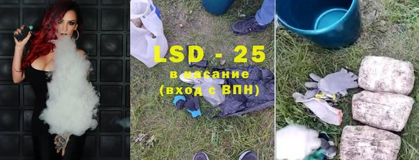 шишки Саяногорск