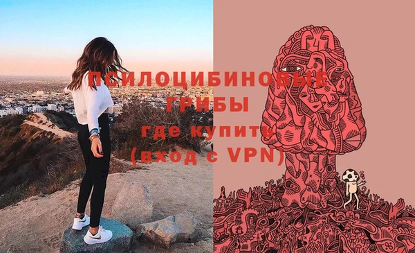 шишки Саяногорск