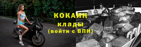 шишки Саяногорск