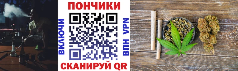 Купить где  Бийск  Марихуана гибрид 